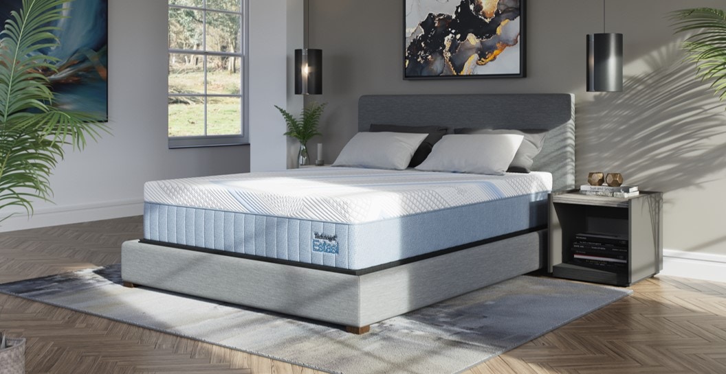 Technogel Queen Mattress
